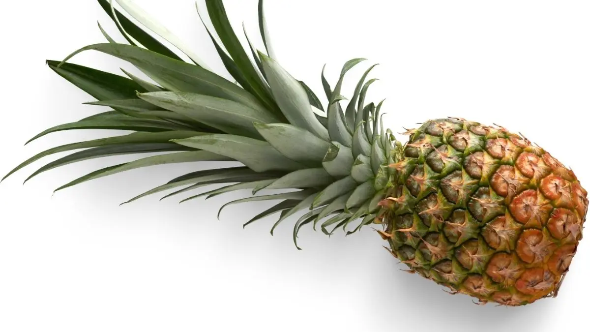 Abacaxi pode interferir na pressão e quase ninguém percebe